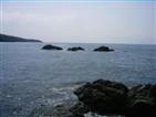 Little Brancs