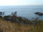 From the coast.