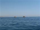 Approaching the area.