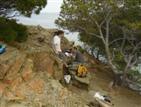 Busy pileup.