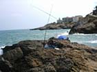 Pictures from 30DX/E323 Morro del Gos Islet by 30DX027, 30DX184, 30DX299, 30DX401.