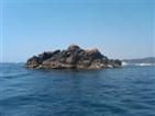 El Llagosti de Formigues.