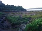 Low tide.