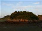 Low tide.