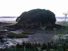 Low tide.