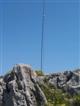 Half wave dipole.