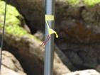 Vertical dipole adjusting SWR.