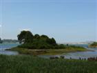 High tide.