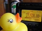 Mascot checkking out steady S8 static noise level..