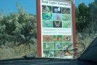 trip