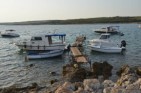 boats