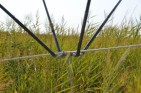 antenna