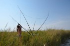 antenna
