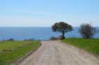 Gravel road, leading to my TX-site (to the left at the corner)