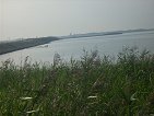 bridge
