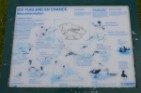 bird sign