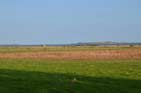 Drejo island (to the right), Skaro island to the left