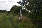 ladders