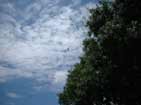 Dipole Antenna..