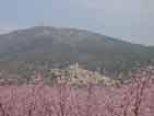 Spring in South France....